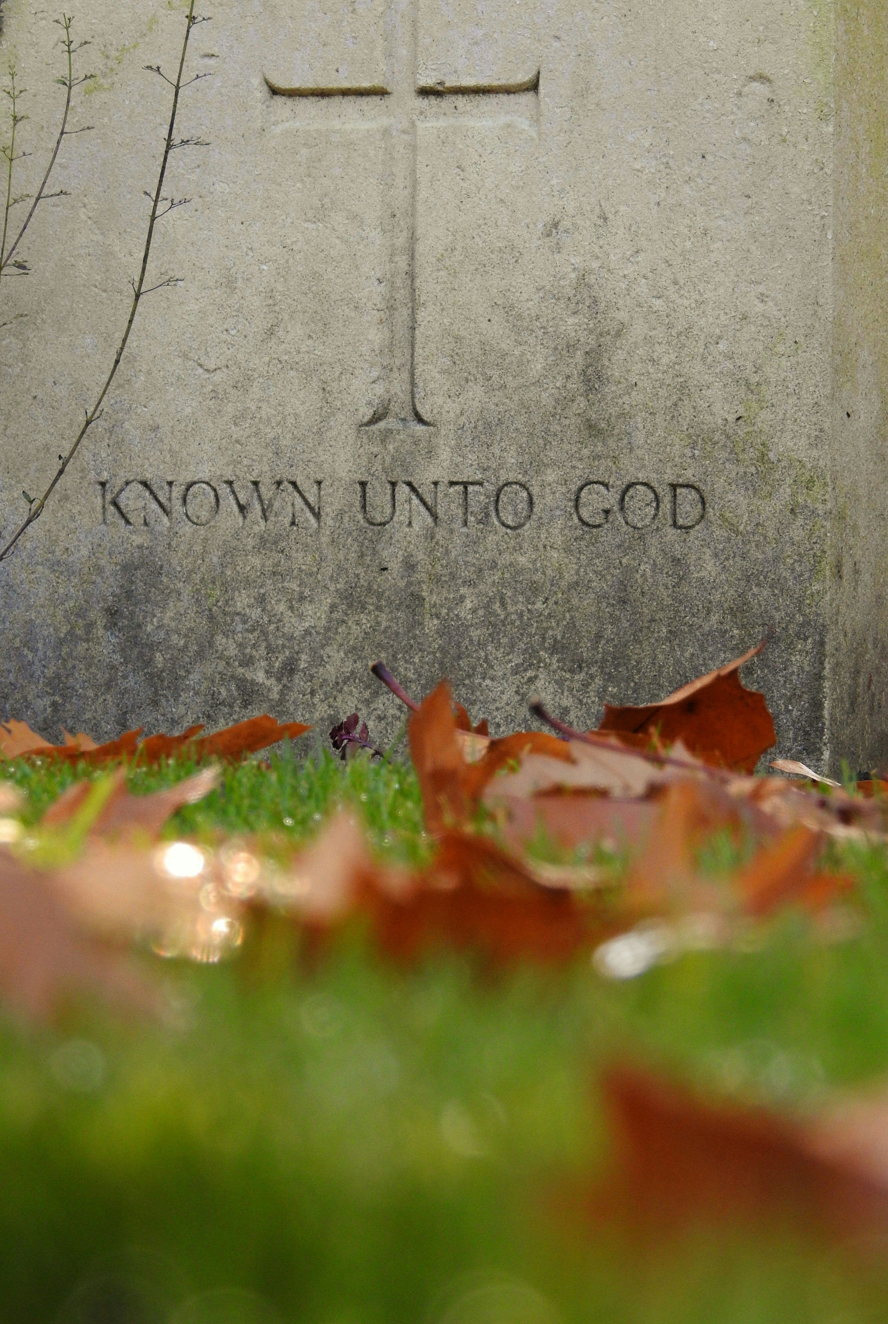The Soul’s Journey: Moral Conversion and the Three Stages of Spiritual Growth